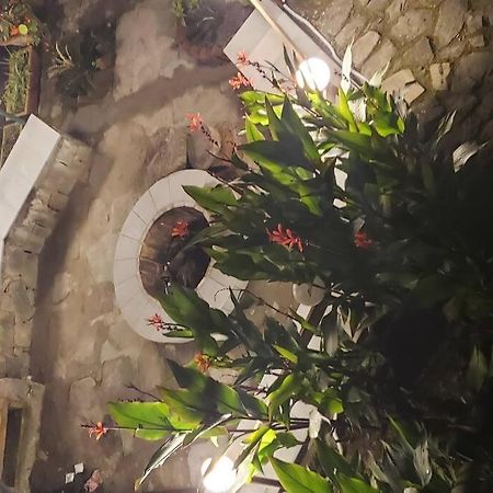 Kasauli Cascade A Cheerfull 4 Bedroom Challet Zewnętrze zdjęcie