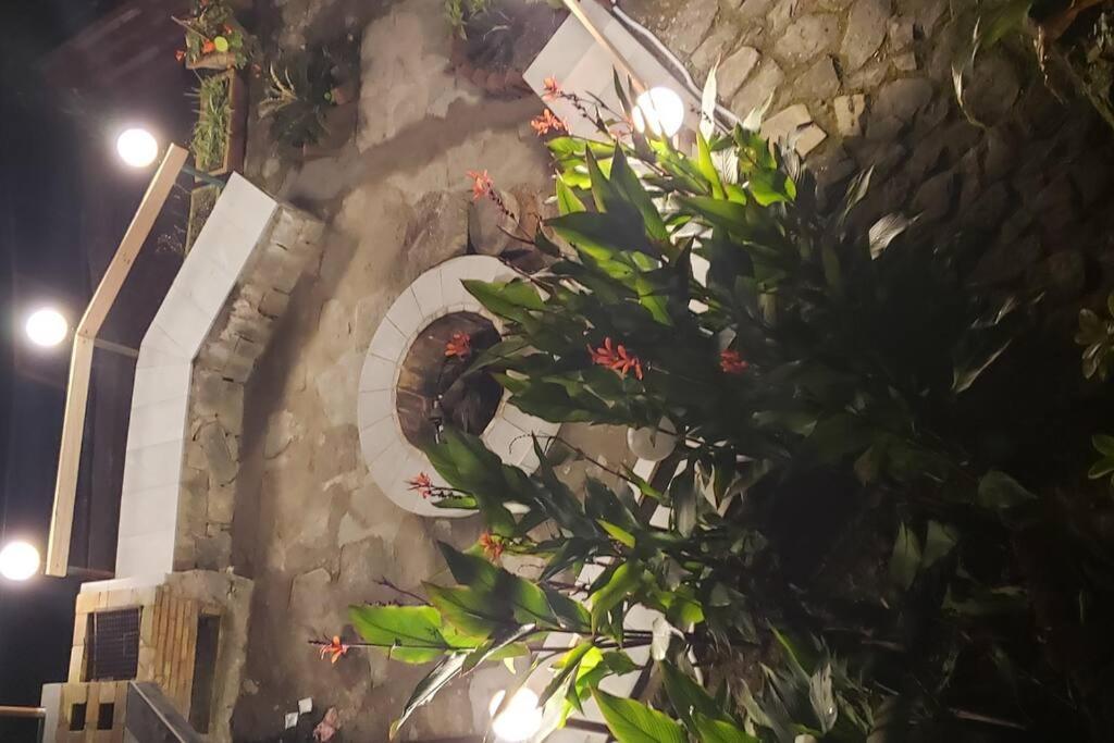 Kasauli Cascade A Cheerfull 4 Bedroom Challet Zewnętrze zdjęcie