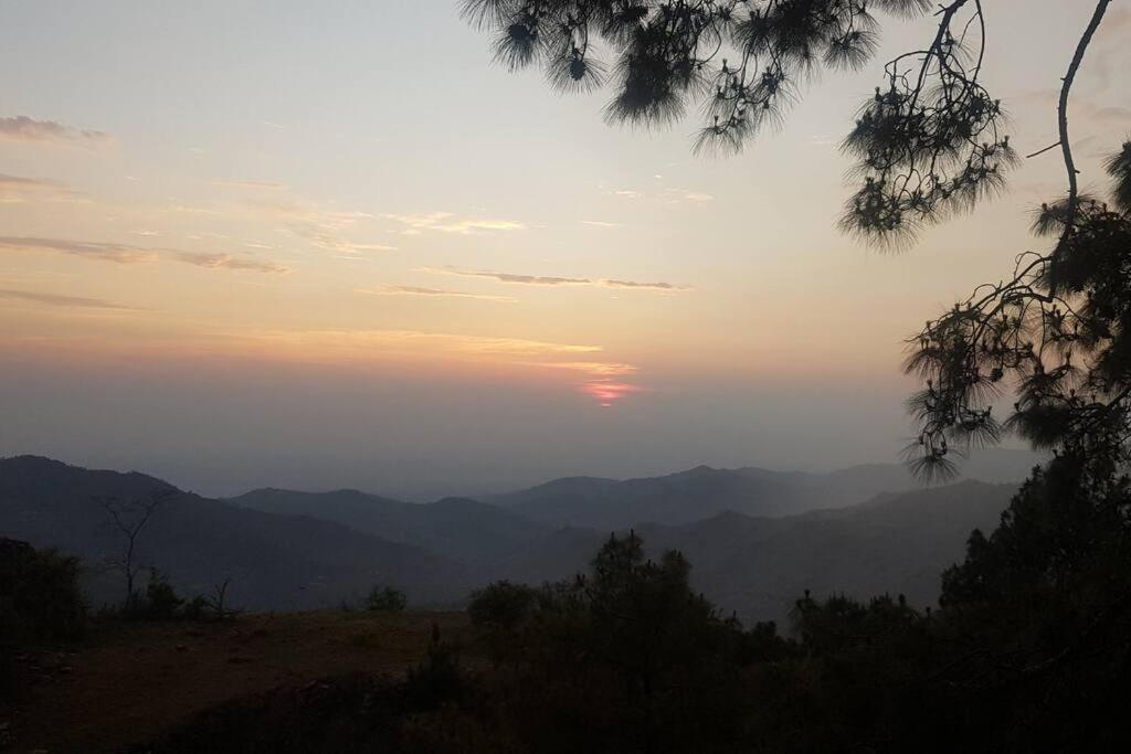 Kasauli Cascade A Cheerfull 4 Bedroom Challet Zewnętrze zdjęcie