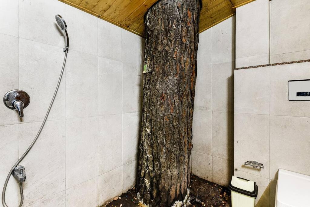 Kasauli Cascade A Cheerfull 4 Bedroom Challet Zewnętrze zdjęcie