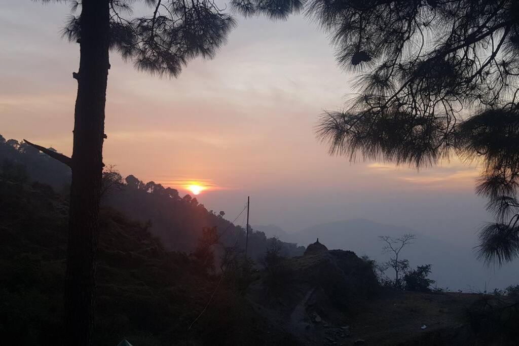 Kasauli Cascade A Cheerfull 4 Bedroom Challet Zewnętrze zdjęcie