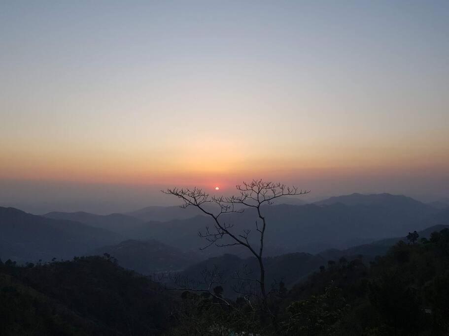 Kasauli Cascade A Cheerfull 4 Bedroom Challet Zewnętrze zdjęcie